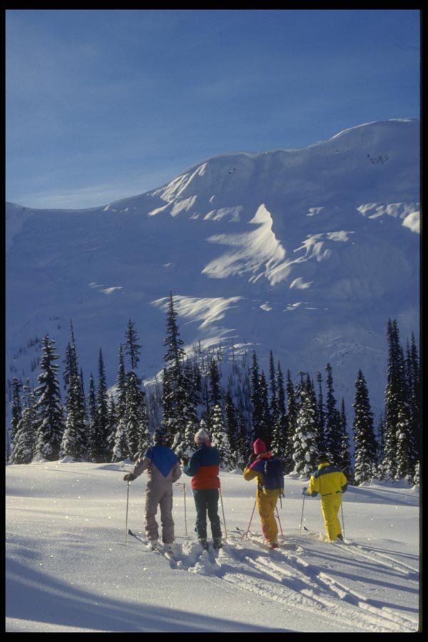 061090 Enjoying The View, Caribou Mountains, British Columbia A4 Photo Print