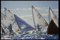 062024 Jibing Around The Mark A4 Photo Print