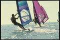 062072 All In A Row Sailing A4 Photo Print