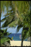 062081 Baja Paradise A4 Photo Print