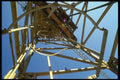 063004 Climbing Interior Of Construction Crane A4 Photo Print