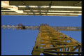 063031 Vertical Crane Skyward A4 Photo Print