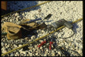 063043 Light Construction Worker's Tools A4 Photo Print