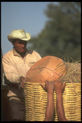 064007 Mexican Potter Loading Truck With Clay Pottery A4 Photo Print