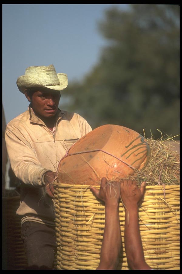 064007 Mexican Potter Loading Truck With Clay Pottery A4 Photo Print