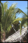 064017 Satellite Dish On Camper In Campground At La Paz, Baja A4 Photo Print