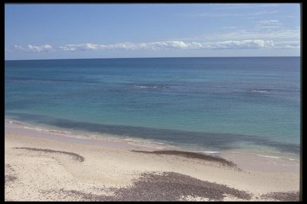 064019 Playa Cabo Pulmo A4 Photo Print