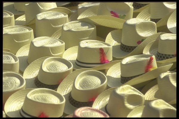 064020 Panama Hats, Oaxaca, Mercado A4 Photo Print