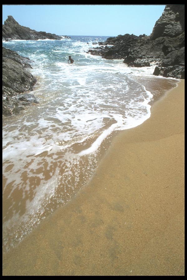 064026 Playa Zipolte Pacific Coast A4 Photo Print