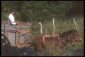 064068 Horse Drawn Buggy, Novillero, Pacific Coast A4 Photo Print