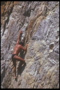 064069 Acapulco Cliff Diver Climbing A4 Photo Print