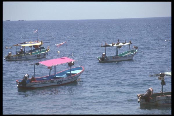 064079 Tourist Boats, Puerto Escondido A4 Photo Print
