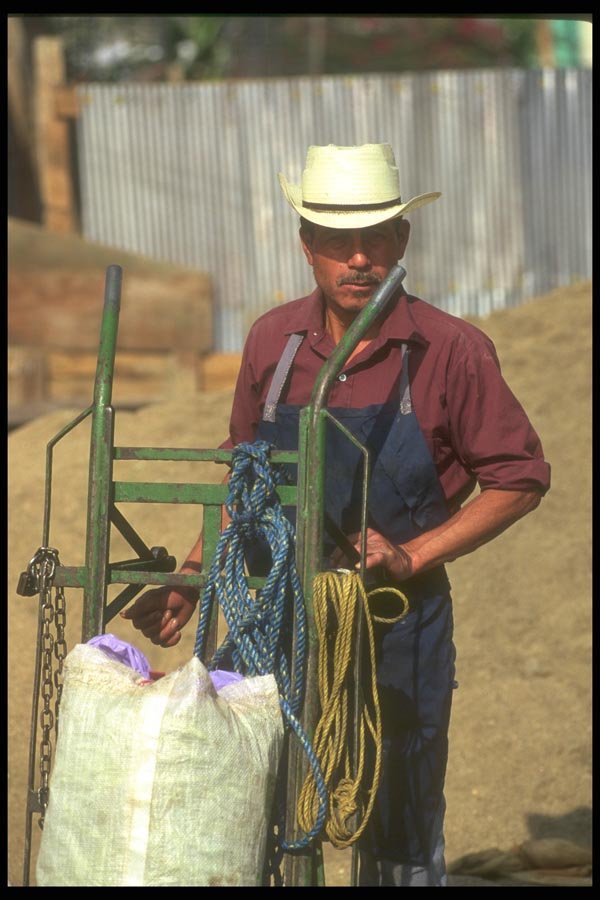 064091 Waiting For A Load To Carry, Oaxaca Market A4 Photo Print
