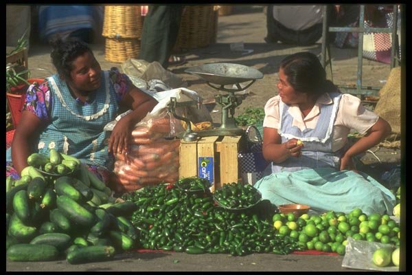 064092 Fruit & Vegetable Vendors A4 Photo Print
