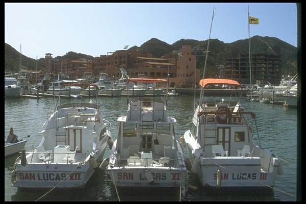 064095 Deep Sea Fishing Vessels, Cabo St. Lucas A4 Photo Print