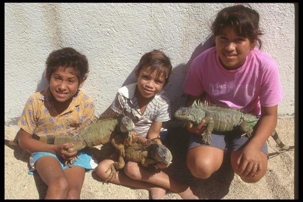 064096 Mexican Children Holding Lizards A4 Photo Print