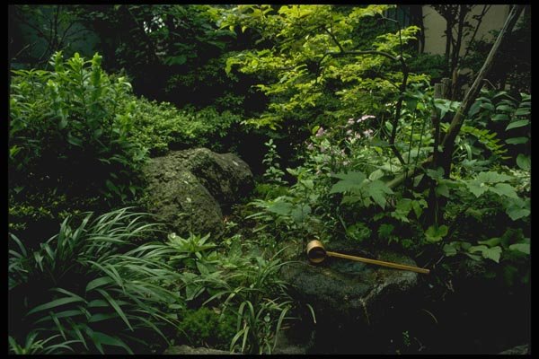 065006 Garden Well With Dipper A4 Photo Print