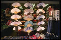 065011 Japanese Fans A4 Photo Print