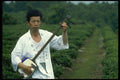 065013 Traditional Shamisan Player A4 Photo Print