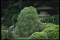 065028 Stone Lantern & Crane In A Garden A4 Photo Print