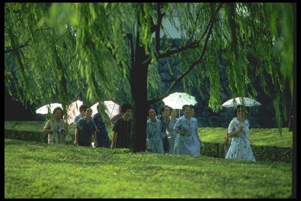 065033 Meija Garden A4 Photo Print