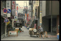 065034 Street In Maranouchi District A4 Photo Print