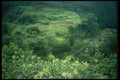 065069 Farmland A4 Photo Print