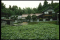 065070 Country House A4 Photo Print