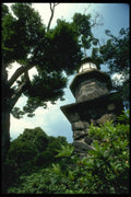 065072 Lantern A4 Photo Print