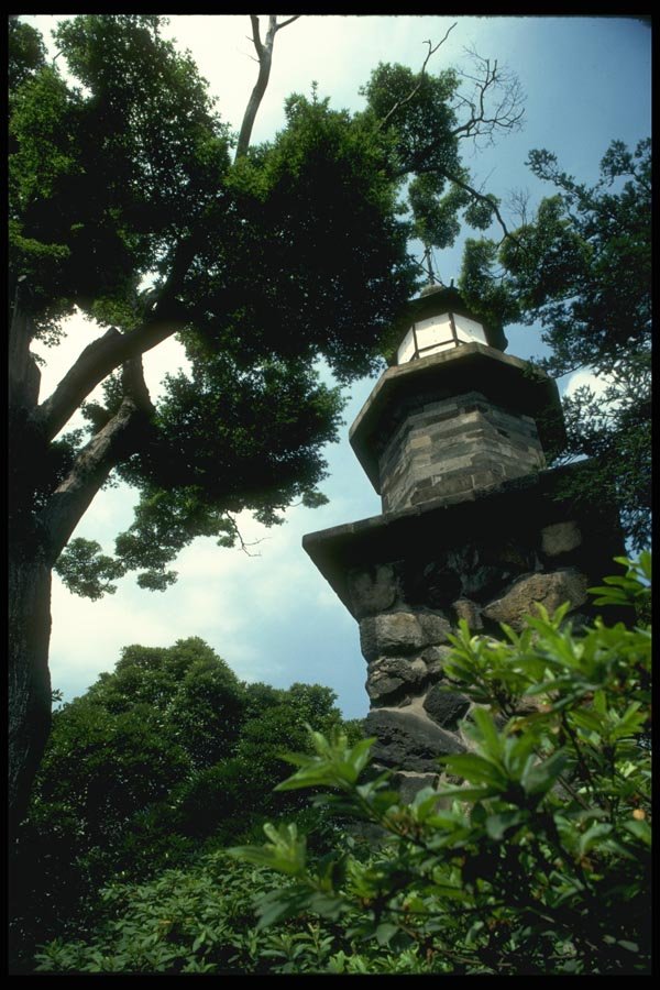 065072 Lantern A4 Photo Print