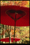 065104 Red Lacquer Umbrellas, Jindaiji Temple, Tokyo A4 Photo Print
