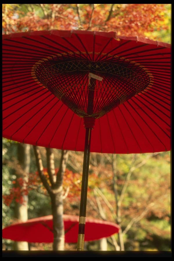 065104 Red Lacquer Umbrellas, Jindaiji Temple, Tokyo A4 Photo Print