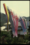 065109 Koi Streamers Jofu Countryside A4 Photo Print