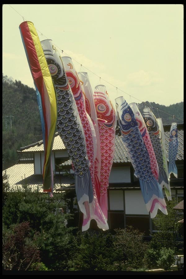065109 Koi Streamers Jofu Countryside A4 Photo Print