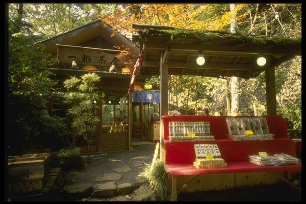 065136 Noodle Shop, Jindaiji Temple Tokyo A4 Photo Print