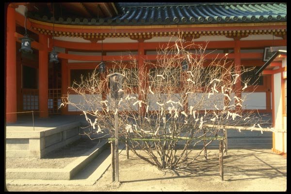 065138 Heian Jingu Kyoto A4 Photo Print