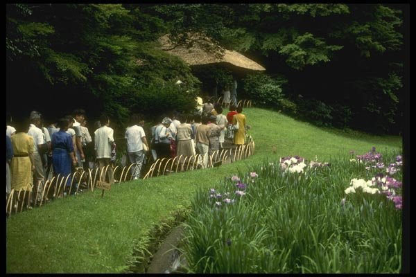 065147 Nature Crowds, Meiji Iris Garden Tokyo A4 Photo Print