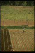 065150 Field And Farmer Tokyo A4 Photo Print