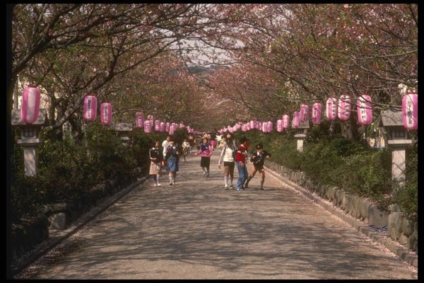 065160 Kamakura, Japan A4 Photo Print