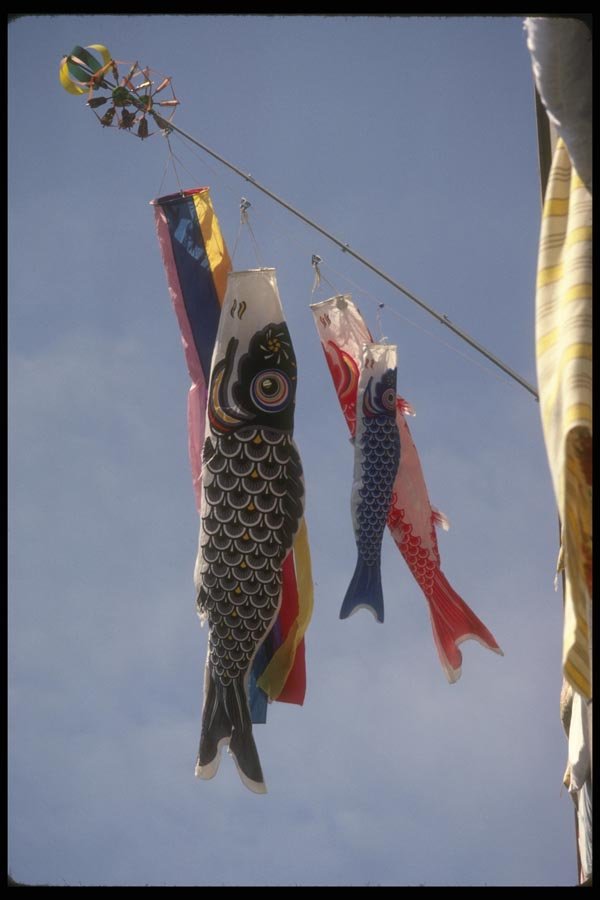 065178 Koinobori Tokyo, Japan A4 Photo Print