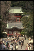 065179 Tsurugaoko Hachimangu Shrine Kamakura, Japan A4 Photo Print