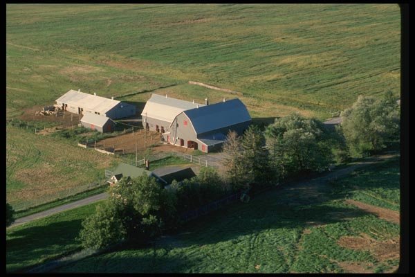 066000 Barnyard Aerial A4 Photo Print