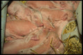 066052 New born Piglets A4 Photo Print