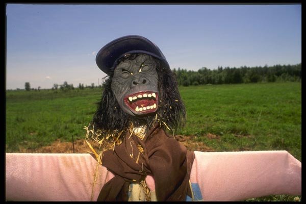 066099 Scarecrow A4 Photo Print