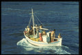 067017 Greek Fisherman, Aegean Sea A4 Photo Print