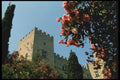 067054 Oleander Bushes Crusader Fortress, Rhodes A4 Photo Print