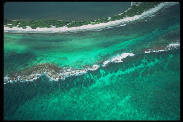 068000 White Sand Beach Near Pointe Des Chateaux Guadeloupe A4 Photo Print