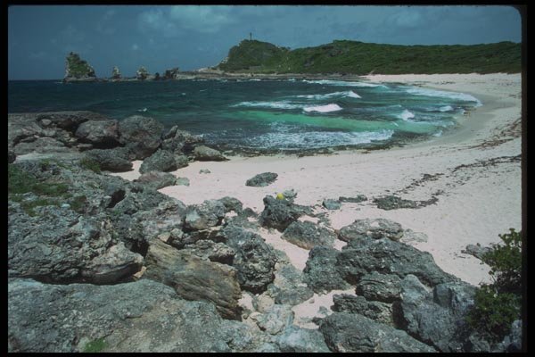 068005 Beach At Island's Edge Pointe des Chateaux, Guadeloupe A4 Photo Print