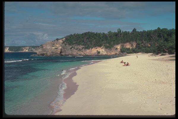 068006 Beach At Anse Labourd Grand Terre, Guadeloupe A4 Photo Print
