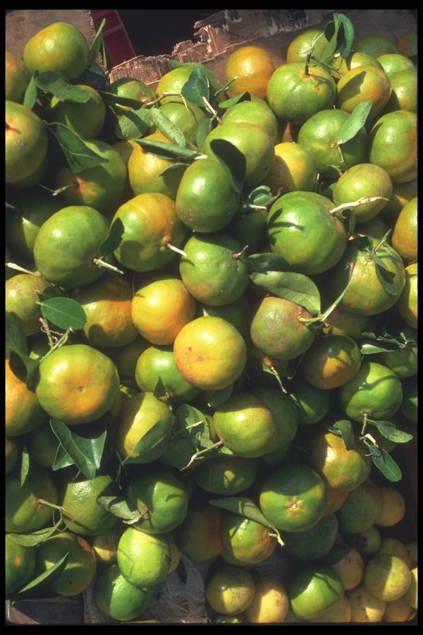 068012 Fruit, Central Market Pointe a Pitre, Guadeloupe A4 Photo Print